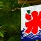 かき氷の画像