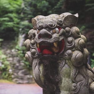 狛犬の画像